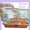 hamster