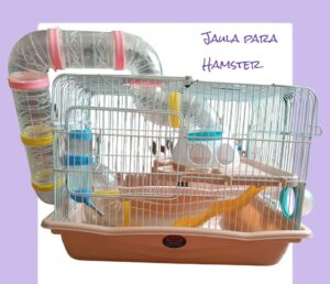 hamster